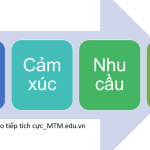 KỸ NĂNG GIAO TIẾP: MÔ HÌNH GIAO TIẾP CƠ BẢN