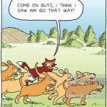 BẦY CHÓ VÀ THỢ SĂN: BÀI HỌC VỀ CÁCH KHIẾN NHÂN VIÊN CHỈ MUỐN LÀM VIỆC CHO BẠN CẢ ĐỜI