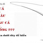 CÂU CHUYỆN “CON CÁ-CẦN CÂU-NGƯỜI ĂN XIN”-BẠN CHÍNH LÀ NHỮNG GÌ BẠN NGHĨ