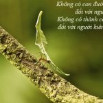 “GIỜ THÌ CON ĐÃ BIẾT CHÚNG TA NGHÈO NHƯ THẾ NÀO RỒI…”