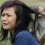 ĐỪNG VÁC “CON KHỈ'” CỦA NHÂN VIÊN CẤP DƯỚI