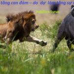 CHUYỆN CUỐI TUẦN: ĐỪNG CỐ VẼ NÊN CHƯỚNG NGẠI VẬT KHI CÓ THỂ GIẢI QUYẾT CÔNG VIỆC MỘT CÁCH ĐƠN GIẢN