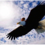 LÀ CHIM HAY ĐẠI BÀNG?